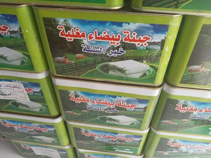 جبنه عرب مقليه 7
