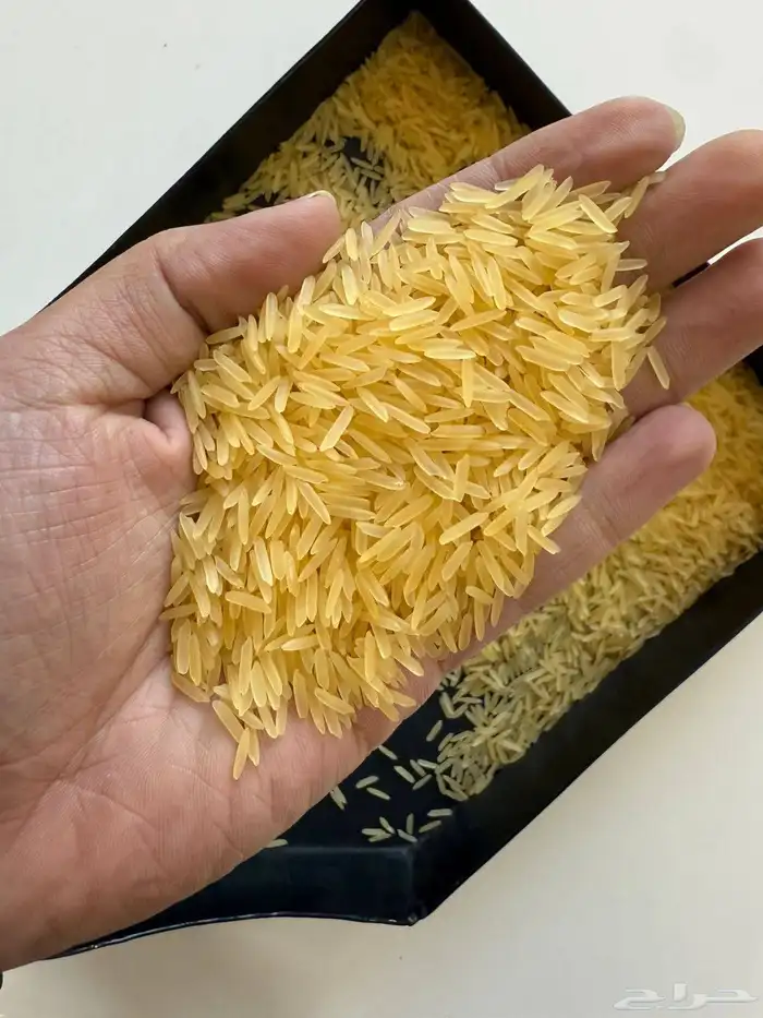 رز بالجملة بالطن أقل شيء حاويه 3