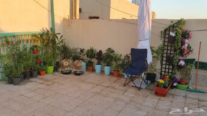 مظلة حديقة 1
