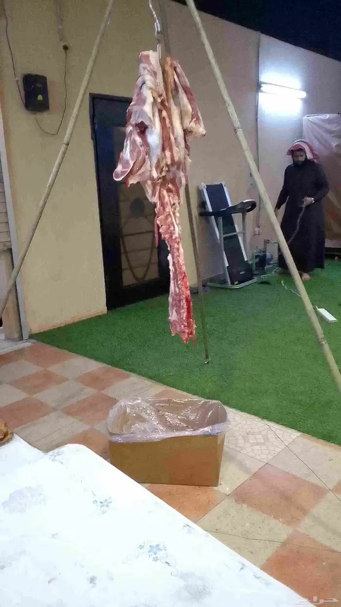 شوي خارجي 6