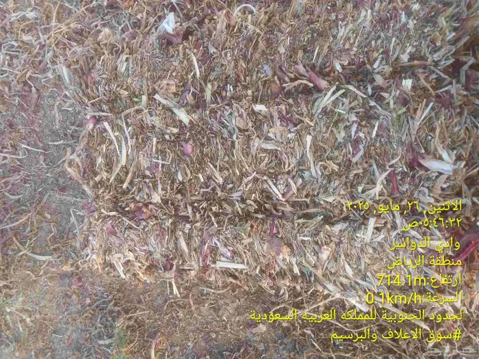 مخلوط عرش بصل علف حق غنم وجمل علف يابس بدون لزق او غرق 1