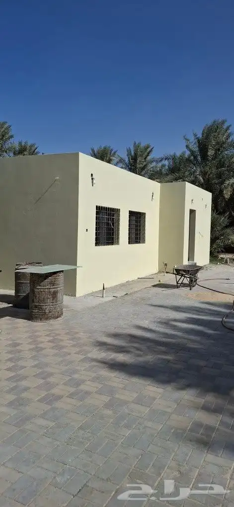 صباغ الاحساء 9