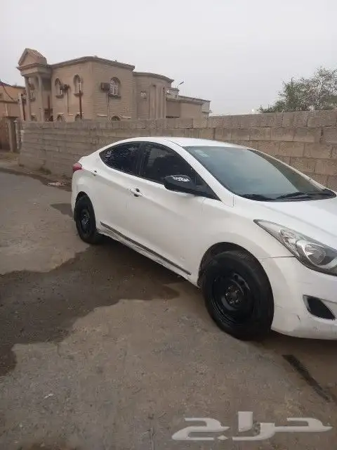 النترا مديل 2014 7