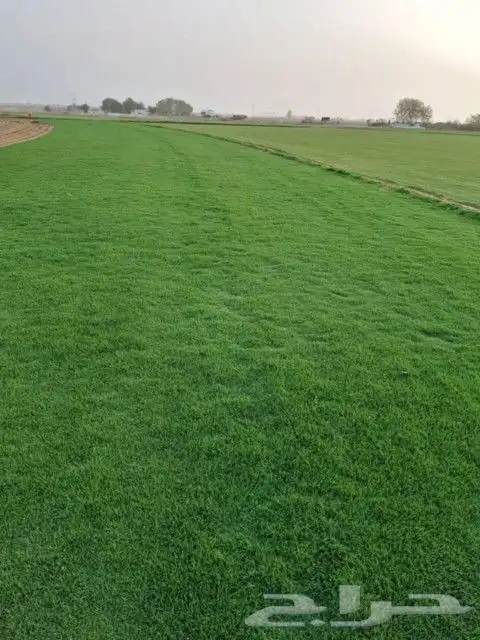 تركيب الثيل سي 2000 في الرياض. تأسست المؤسسة بهدف تلبية الاح 0