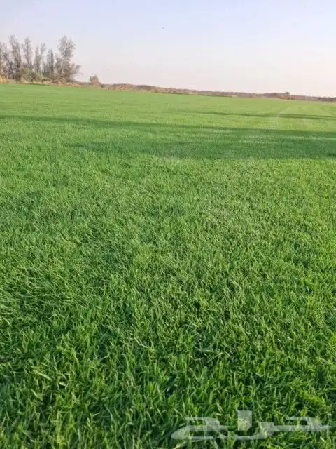 تركيب الثيل سي 2000 في الرياض. تأسست المؤسسة بهدف تلبية الاح 3