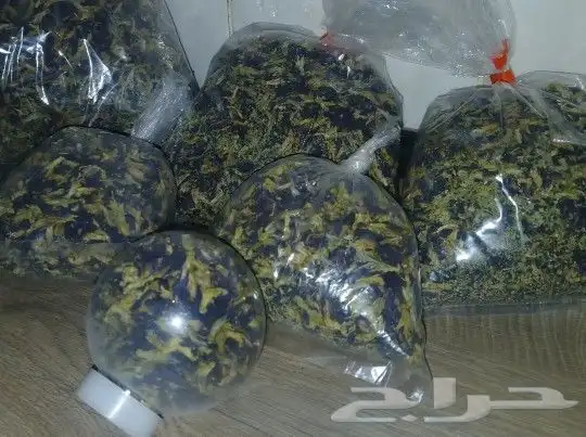 بكجات 2او3او4 أصناف سدر جبلي صبار الوفيرا شاي ازرق 3