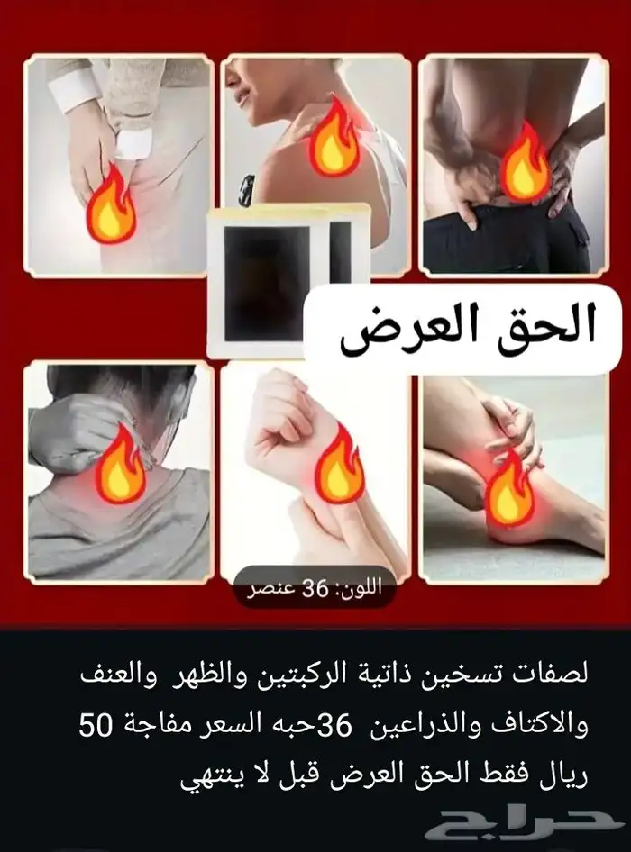 أجهزة الفقرات والعمود الفقري 2