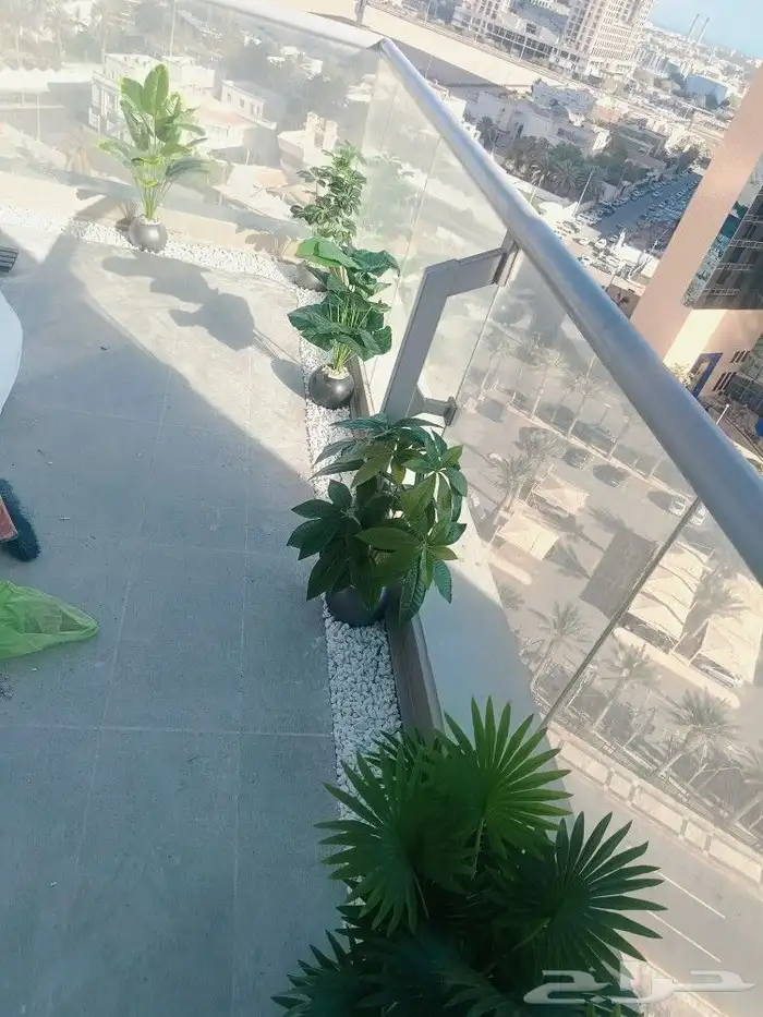 تنسيق حدائق جده ومكه 4