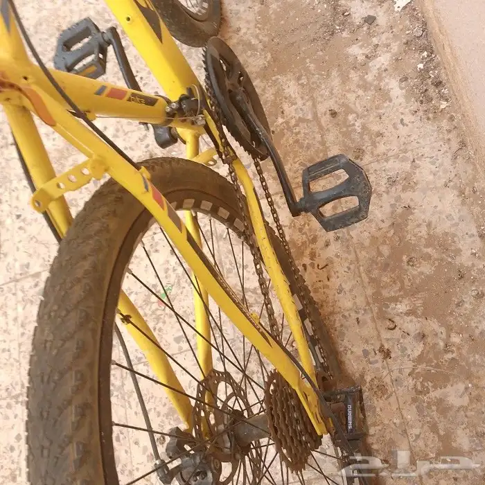 سيكل رياضي 3