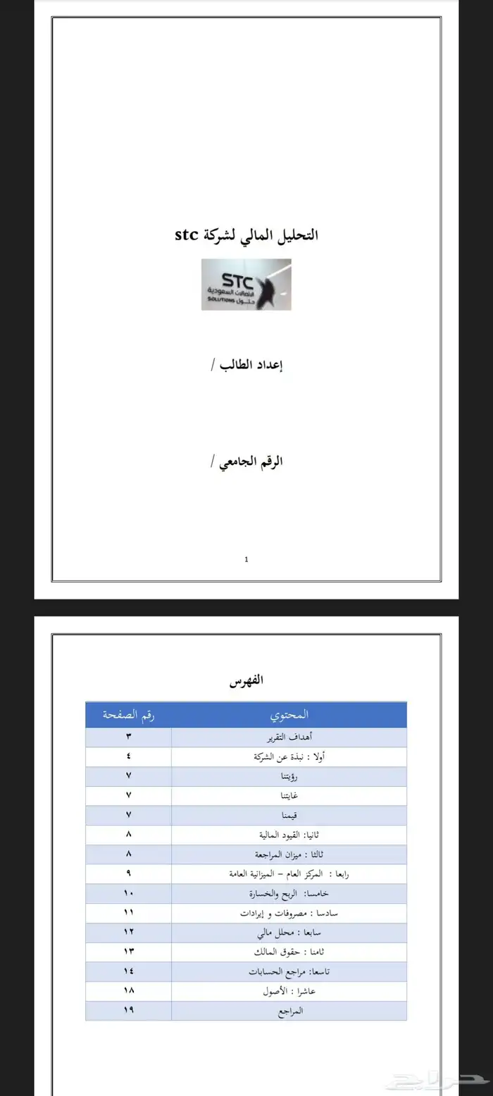 تقرير مالي 1
