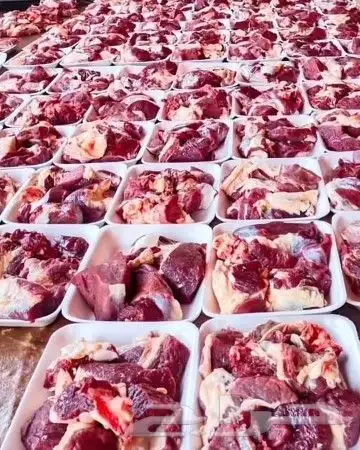 جزار محترف أبحث عن عمل 1