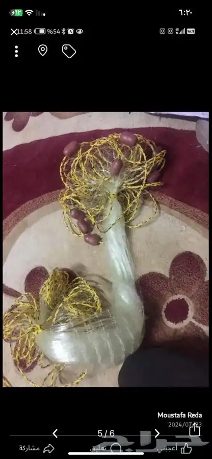 شوار بحر وطيور للبيع 0