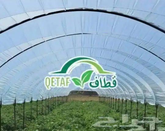 مشتل تنسيق حدائق 2