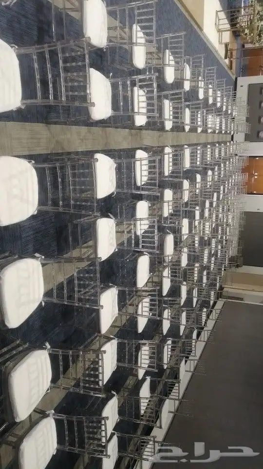 تاجير كراسي ملبس وكراسي شفاف 4