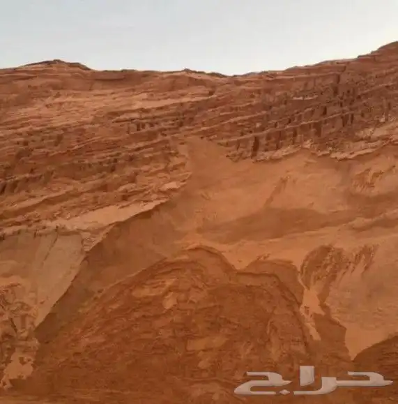 رمل أحمر نفوذ الضاحي 0