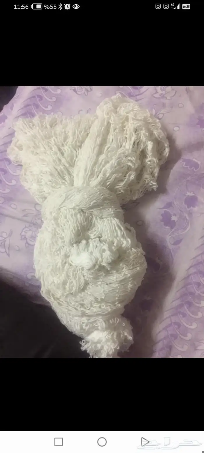 شوار بحر وطيور للبيع 1