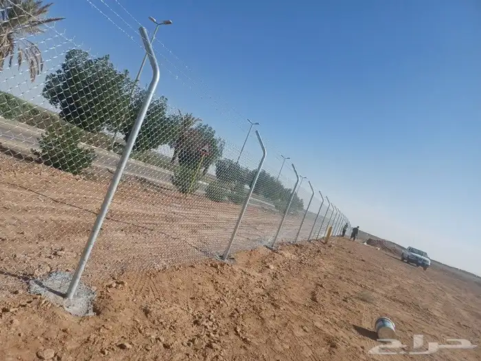 توريد وتركيب شبوك السياج ونخيل وزيتون 6
