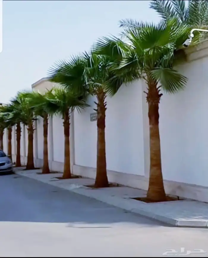 تنسيق حدائق 7
