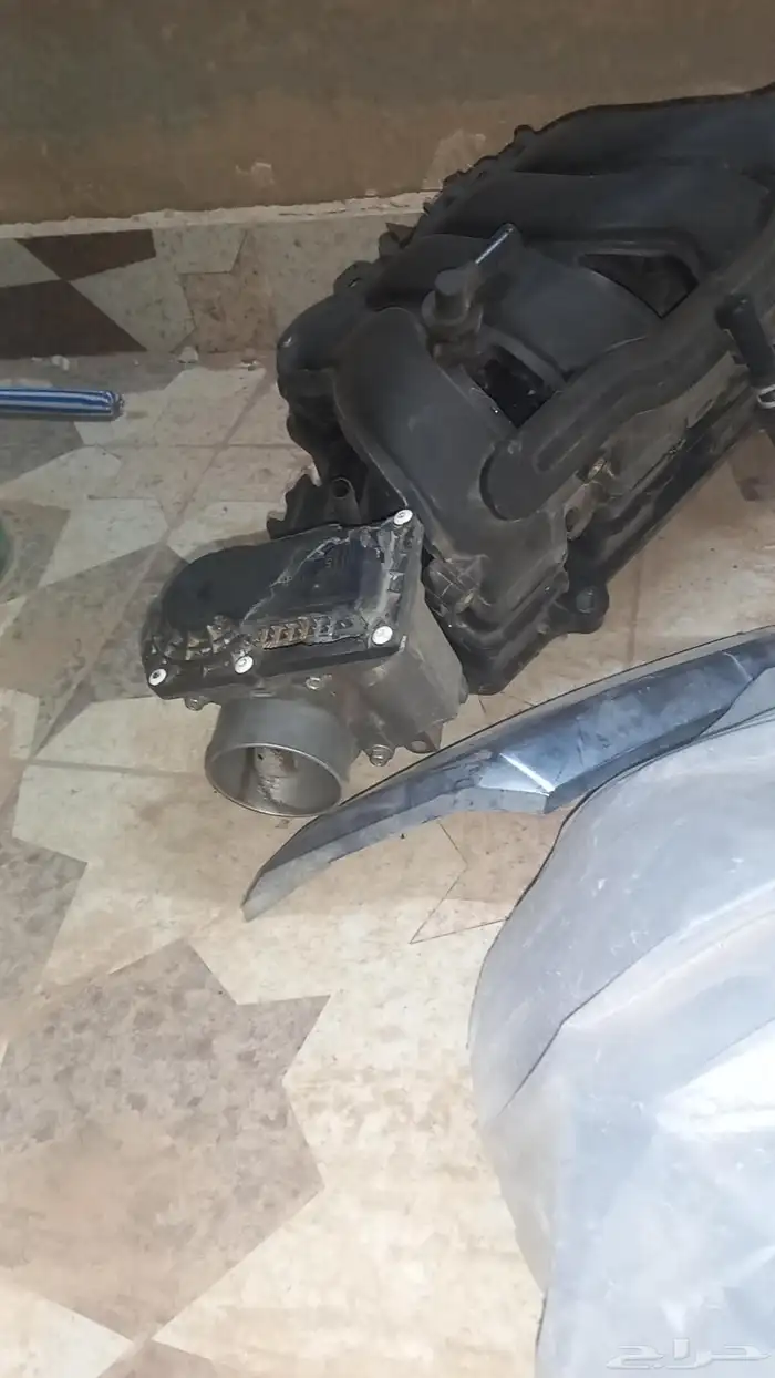 بوابة ثروتل لهاة صني مكسيكي الشكل الجديد 0