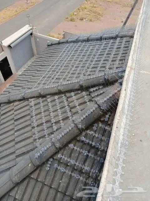 توريد وتركيب طرد الحمام أقوا الأنواع شبك مصمر صلب شبك دريش 2