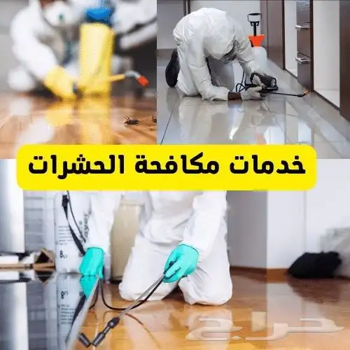 شركة مكافحة حشرات بجدة رش مبيدات الحشرات مع الضمان 0