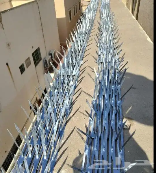 توريد وتركيب طرد الحمام أقوا الأنواع شبك مصمر صلب شبك دريش 8