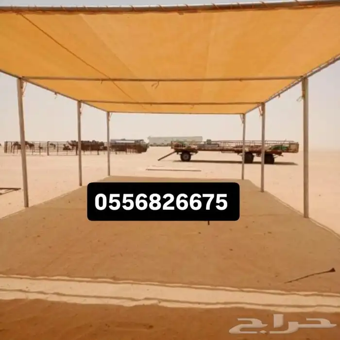 مضلات حلال اجلت ابل 3