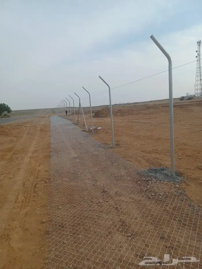 توريد وتركيب شبوك السياج ونخيل وزيتون 8