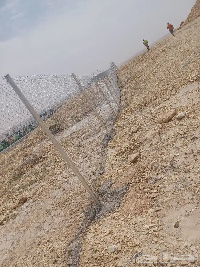 توريد وتركيب شبوك السياج ونخيل وزيتون 1