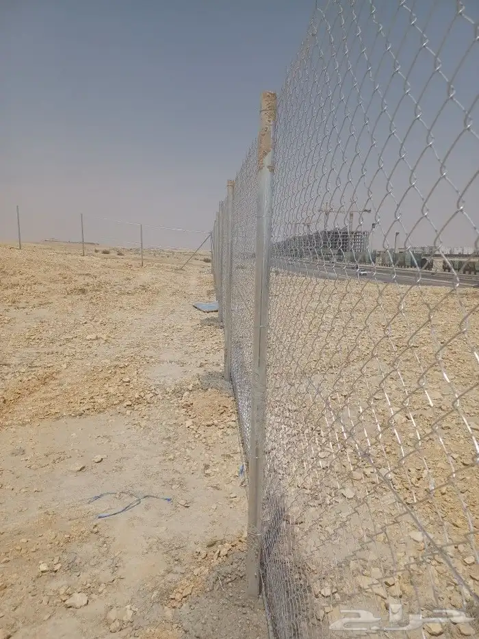 توريد وتركيب شبوك السياج ونخيل وزيتون 2