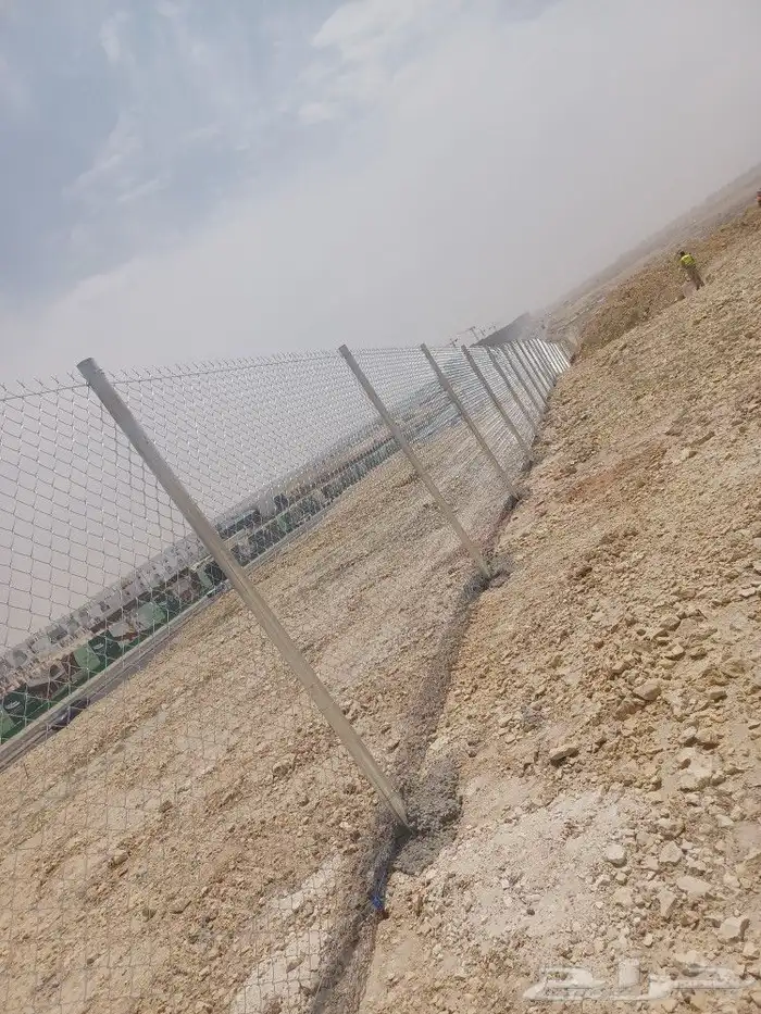 توريد وتركيب شبوك السياج ونخيل وزيتون 0