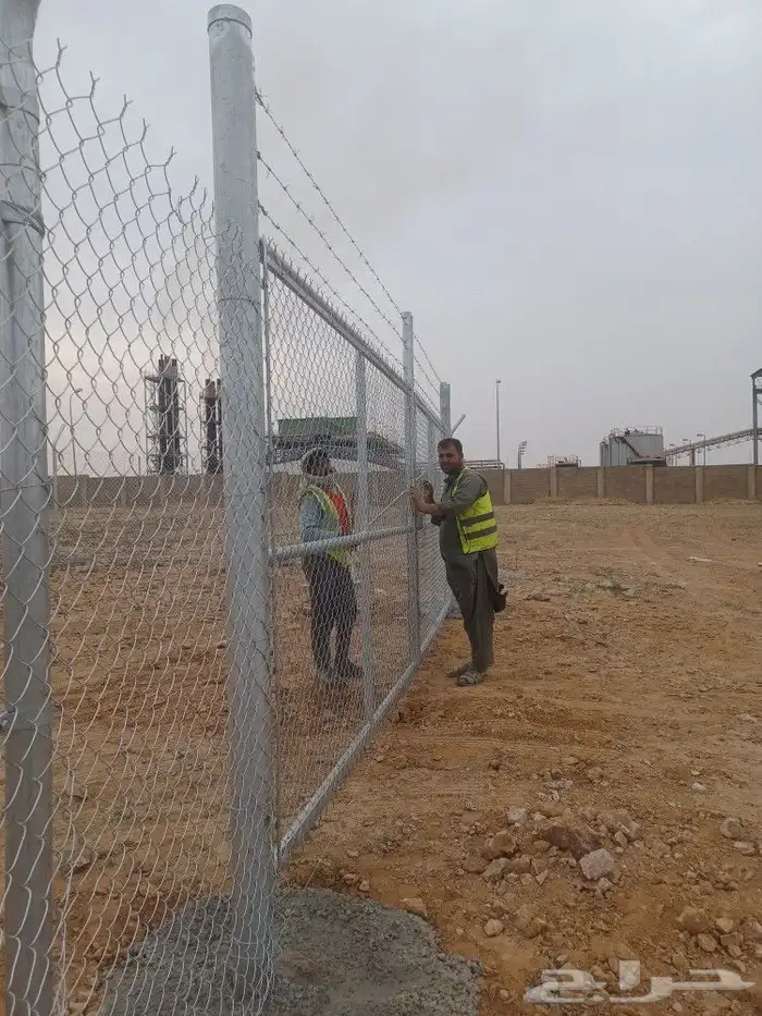 توريد وتركيب شبوك السياج ونخيل وزيتون 9