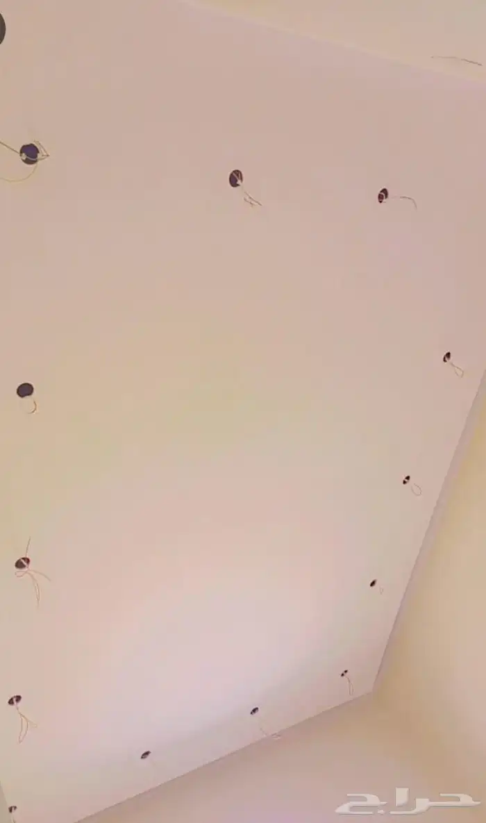 شغل بؤيا جديد في 2