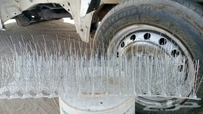 توريد وتركيب طرد الحمام أقوا الأنواع شبك مصمر صلب شبك دريش 0