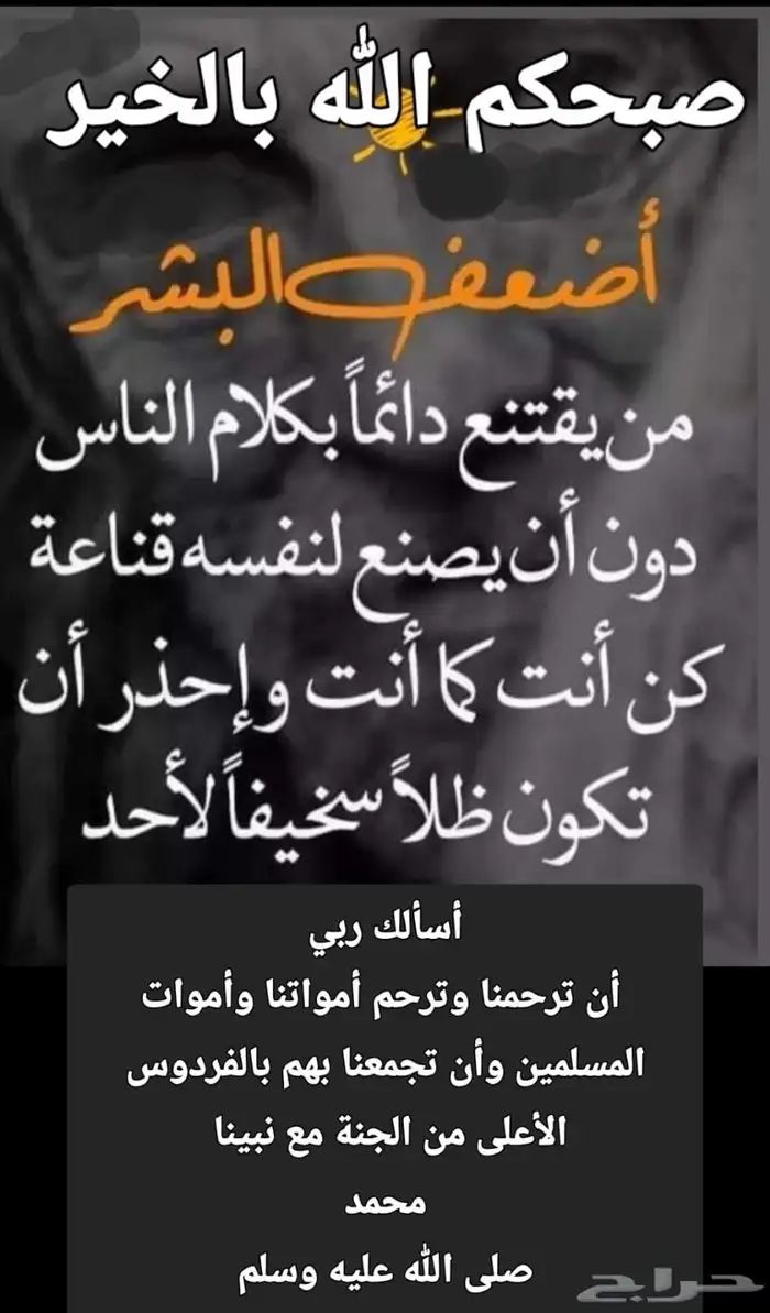 توصيل مشاوير 0
