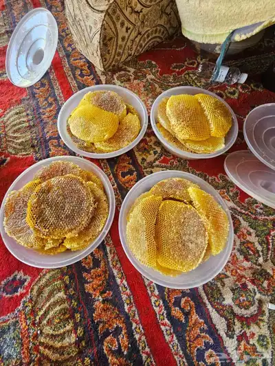 عسل مرعي طيب جدا الموقع ظهران الجنوب 1