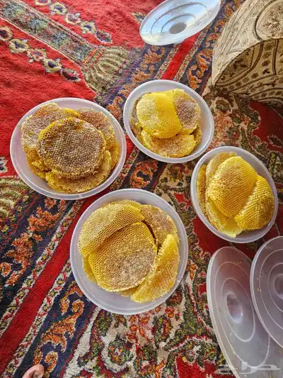 عسل مرعي طيب جدا الموقع ظهران الجنوب 0