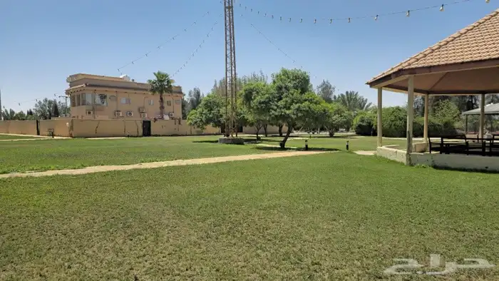 مزرعة الجوهرة للإيجار اليومي فى بريدة 1
