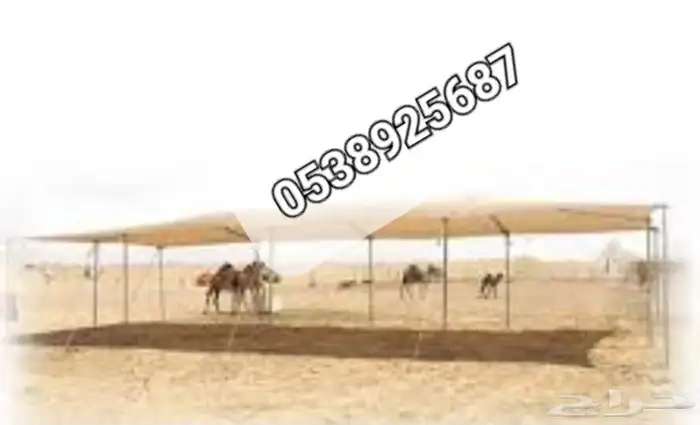 خيام بيوت شعر مطارات 5