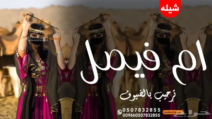 استديو احلام الطرب لتنفيذ الزفات والشيلات والقصائد الشعرية 6