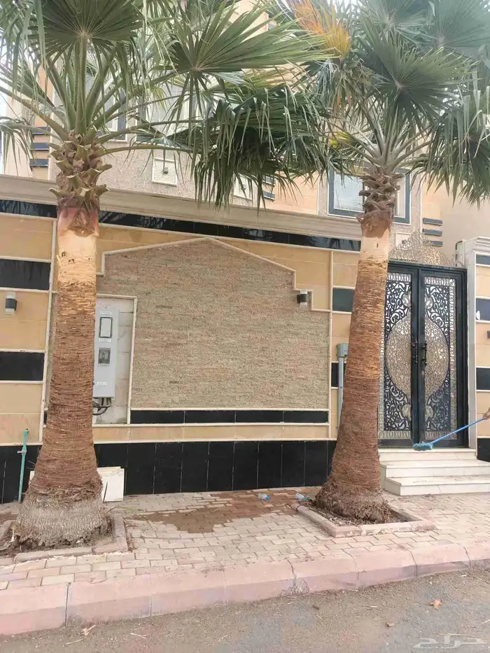 تنسيق حدائق الرياض 6