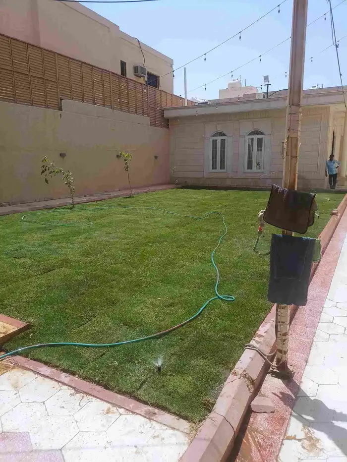 ثيل طبيعي سي 2000 فرنسي وثيل يبانى وثيل انتوري 2