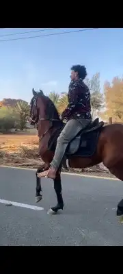 سايس خيل لدي خبرة كافية من تحليق جمال عسف تشغيل اي شي 0