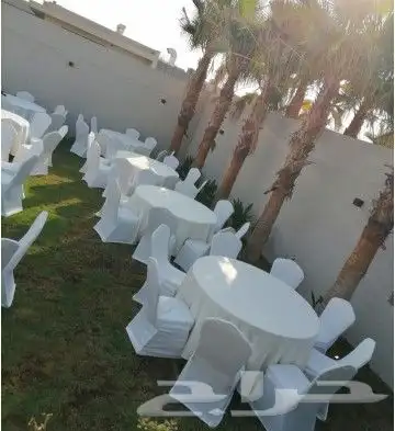 تاجير كنب ثلاثي كنب مفرد كراسي ملكي زل ملكي طاولات 6