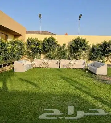 تاجير كنب ثلاثي كنب مفرد كراسي ملكي زل ملكي طاولات 2