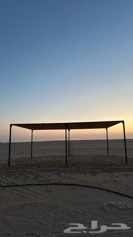 مظلات الحلال الابل 2
