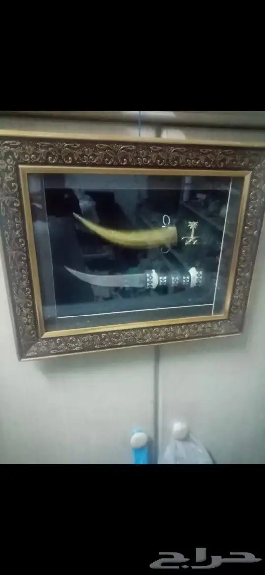 جمبيه للبيع 1