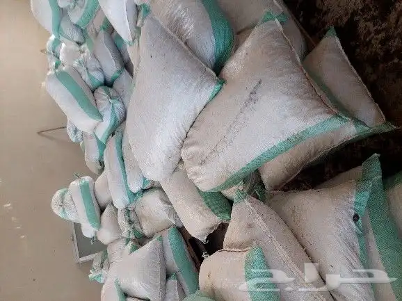 الرياض 0