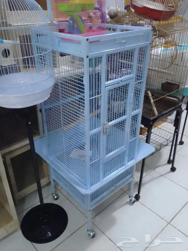 مطير طيور كاسكو روز بادجي 1