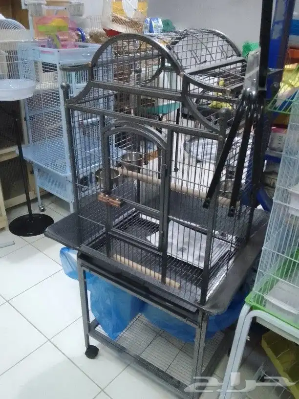 مطير طيور كاسكو روز بادجي 0